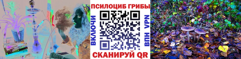 наркошоп Белореченск Псилоцибиновые грибы GOLDEN TEACHER
