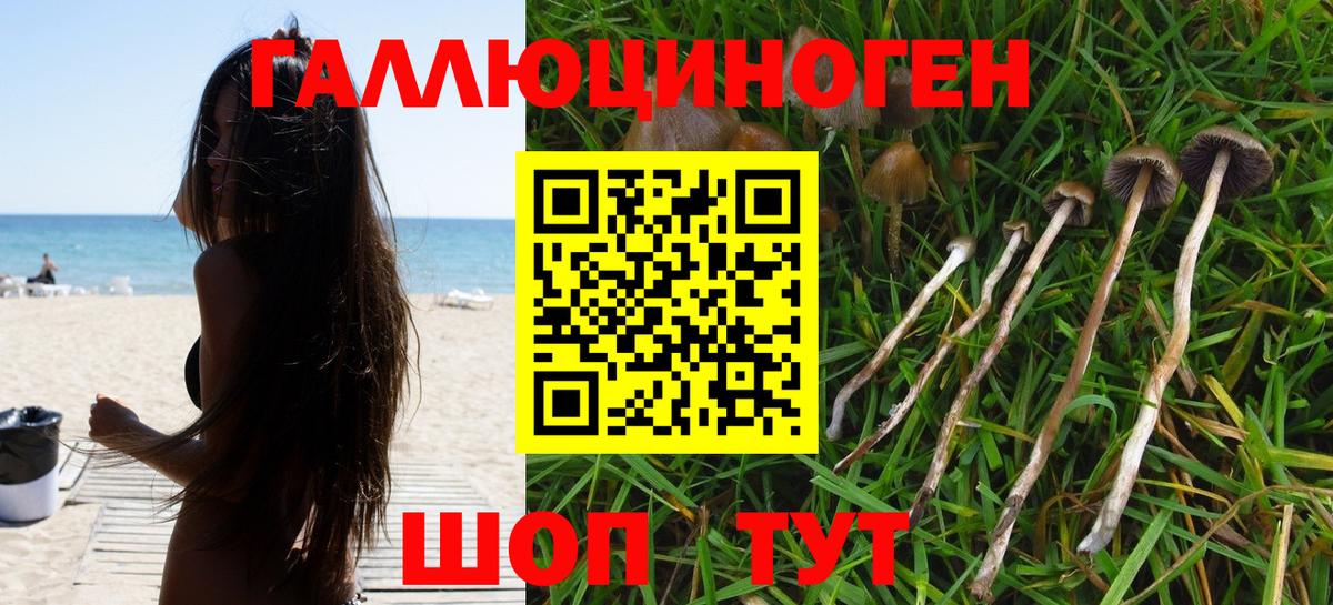 Белореченск  Псилоцибиновые грибы ЛСД  Вход с VPN  Псилоцибиновые грибы прущие грибы 